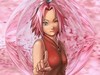 Avatar de Sakura