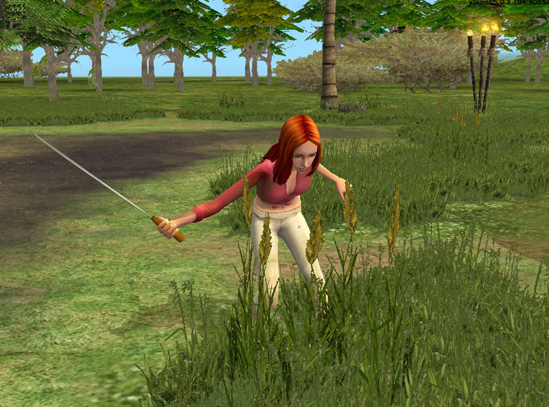 Les Sims 2 : Histoires de Naufragés