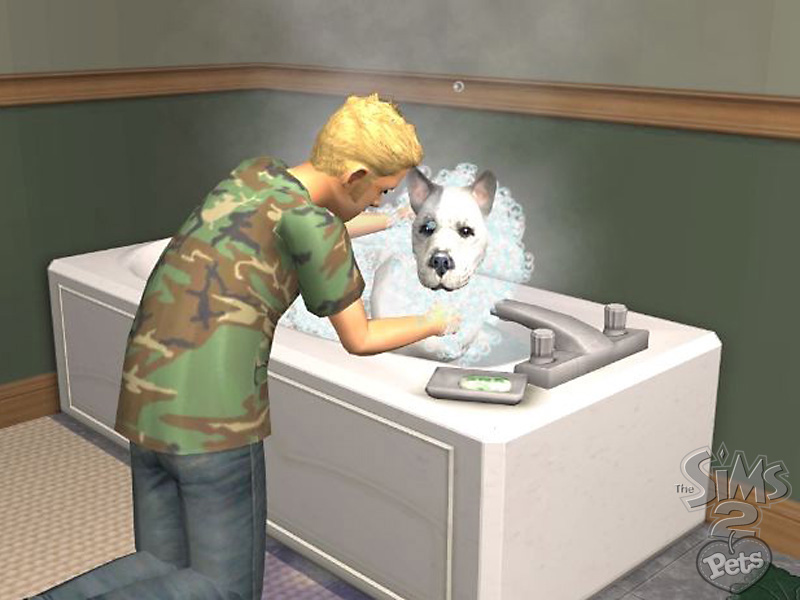 Les Sims 2 : Animaux & cie